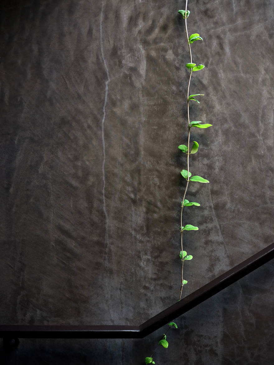 霍克情侣巷(情侣巷)丨美国达拉斯丨Droese Raney(建筑),Laura Kirar(室内)-25