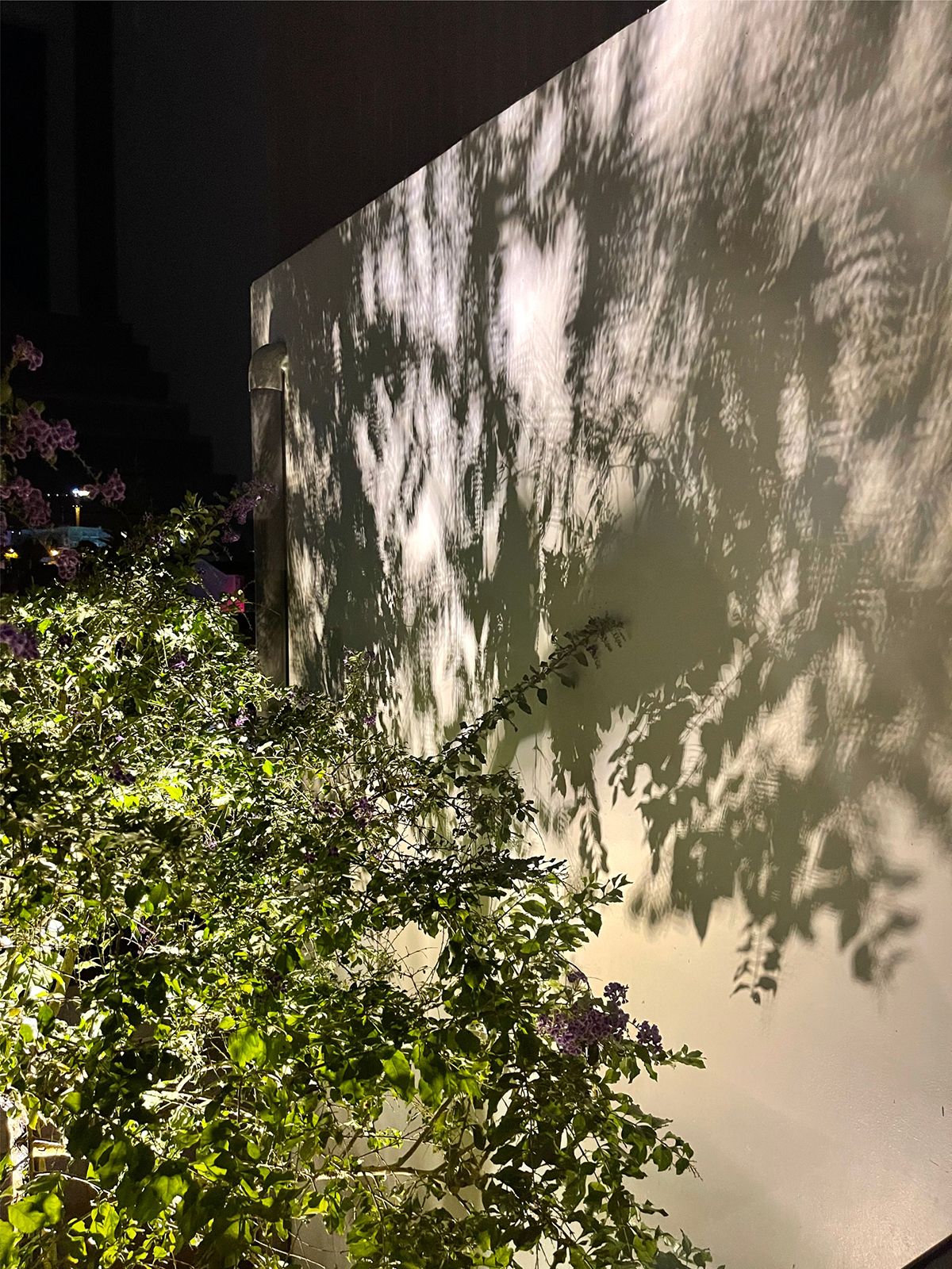 和谐共生 · 现代家庭中的传统越南之美-13