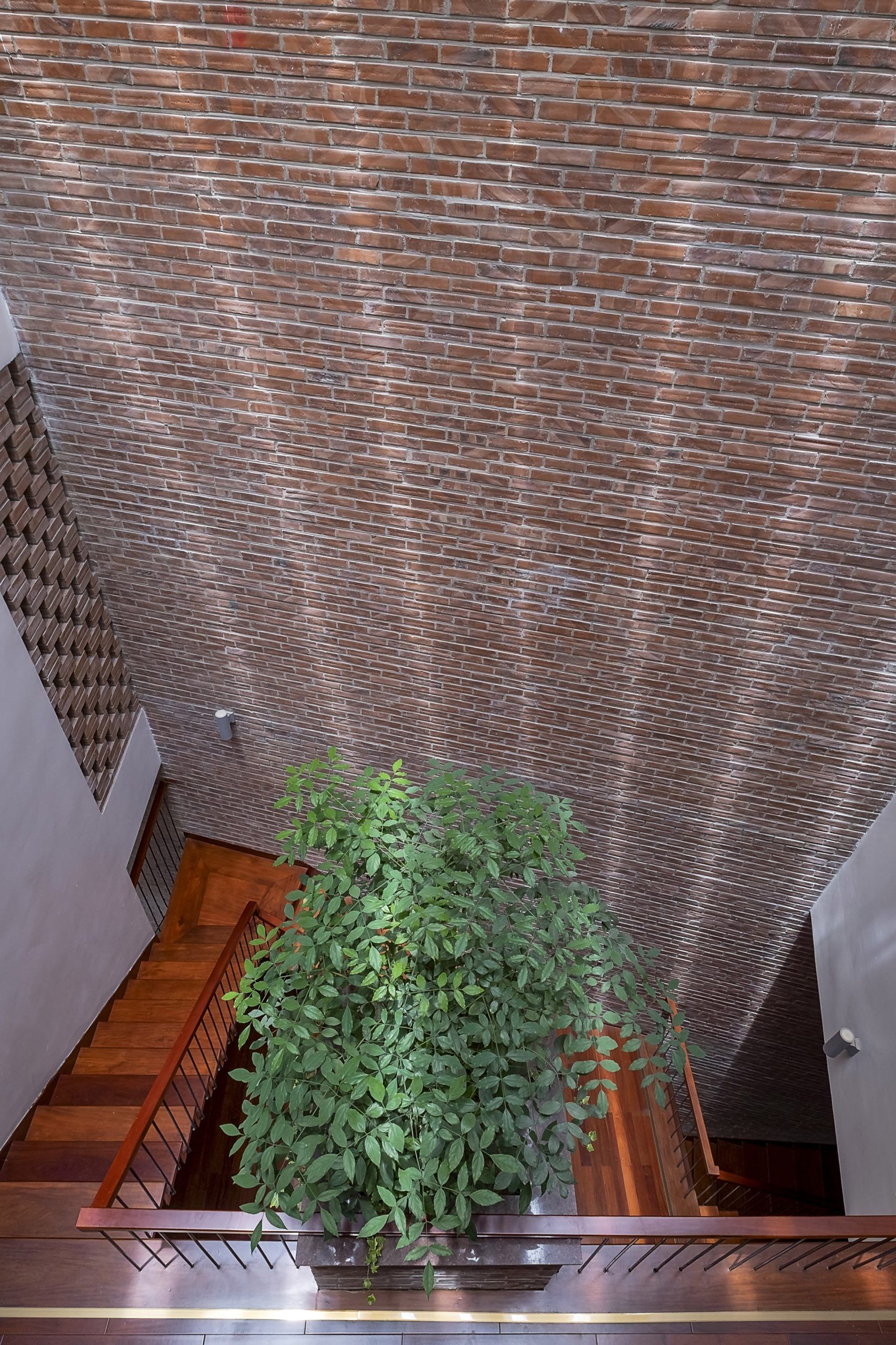 热带洞穴之家-15