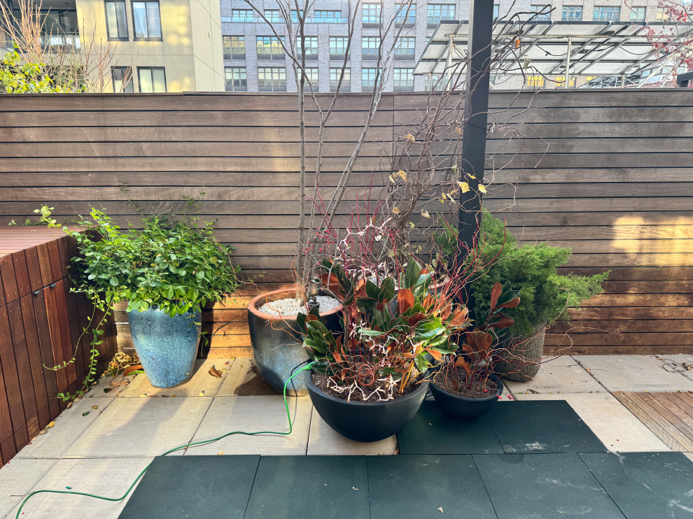 Williamsburg terrace-13