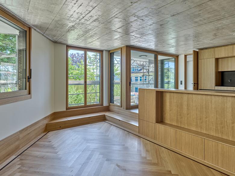 魏尔施泰格替代新建丨瑞士丨Züst Gübeli Gambetti-6