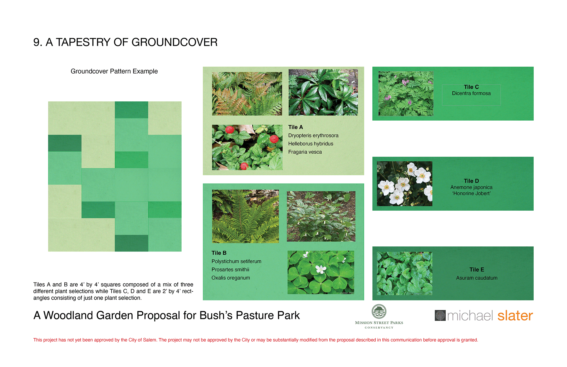 A Woodland Garden for Bush's Pasture Park-8