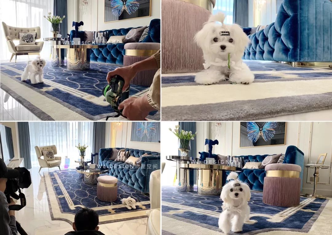 蓝梦轻奢 | 上海高尚领域 168㎡优雅空间-107