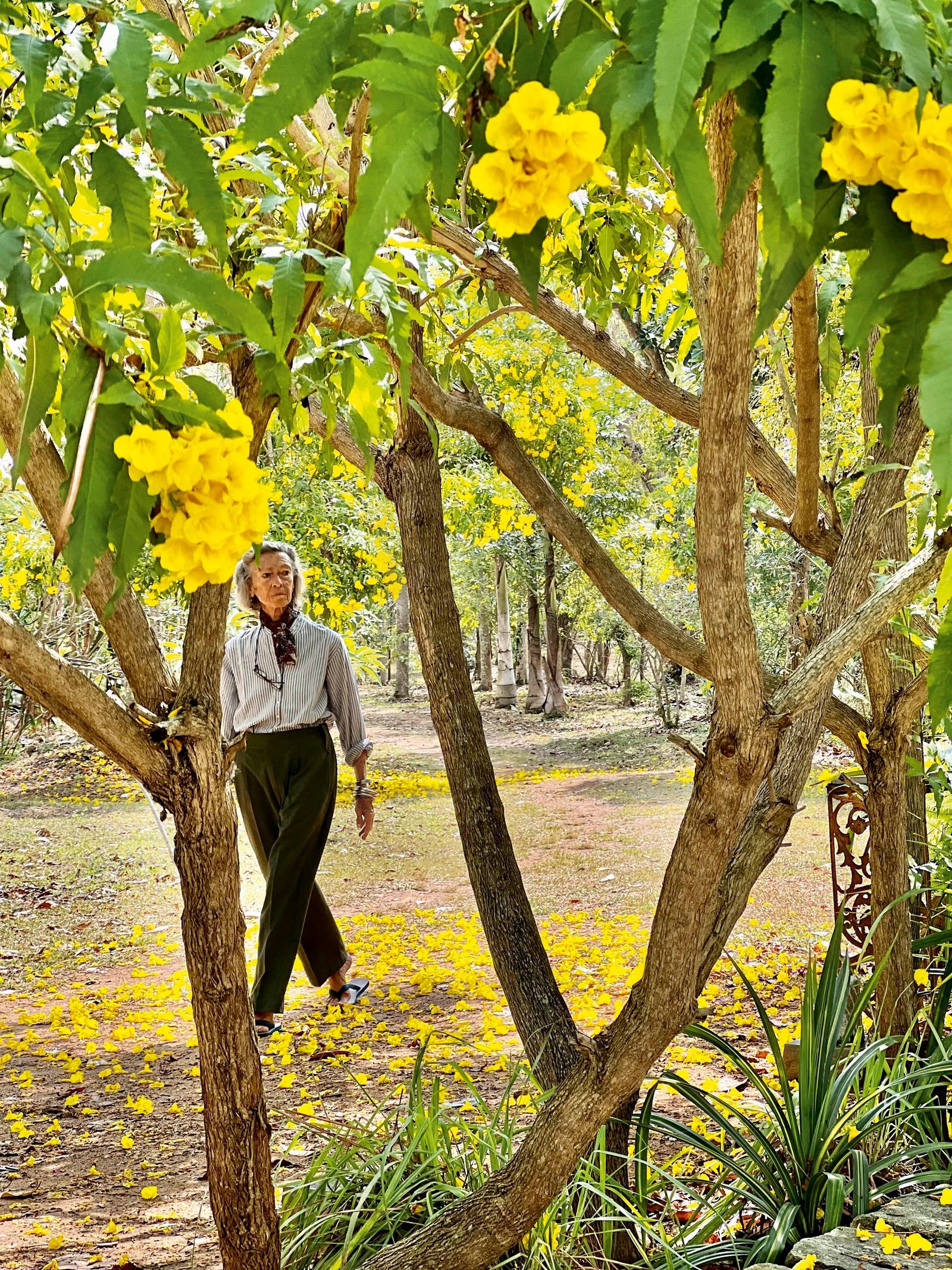 Isla’s Ridge 客舍丨印度-13