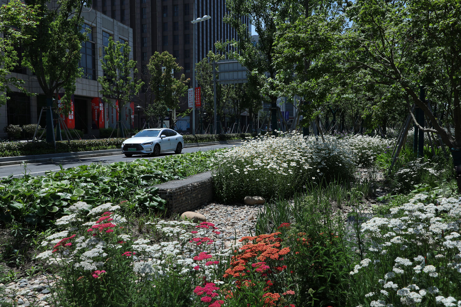 上海临港港城滴水湖绿色带线性公园-33