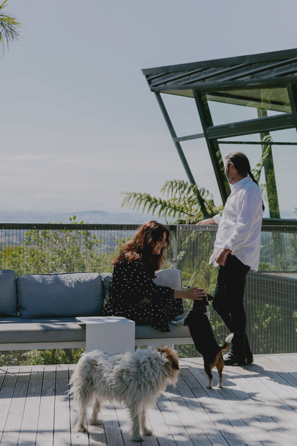 新西兰现代主义山坡之家-4