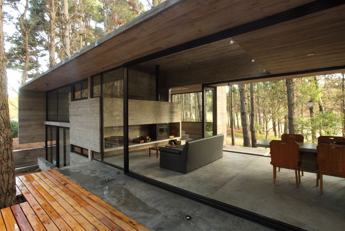 阿根廷森林中的雪儿别墅-19