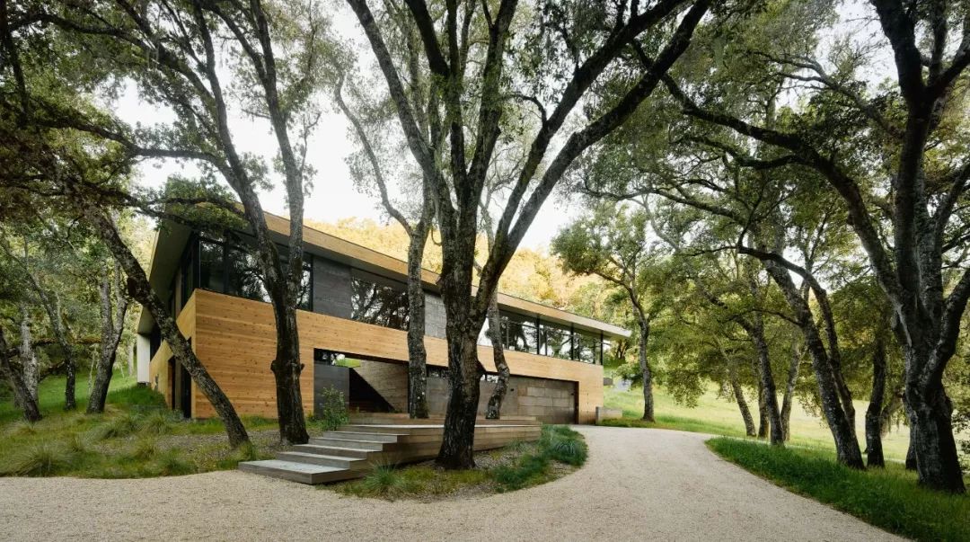 融合自然的当代美学 | 丹尼尔·皮乔塔设计案例解读-10