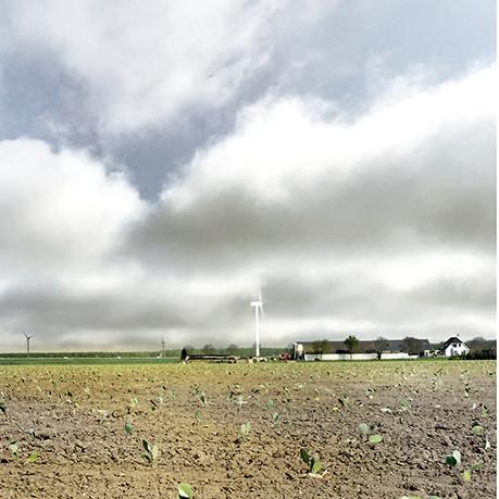 灵活自由的荷兰 Almere Oosterwold 城市规划-23