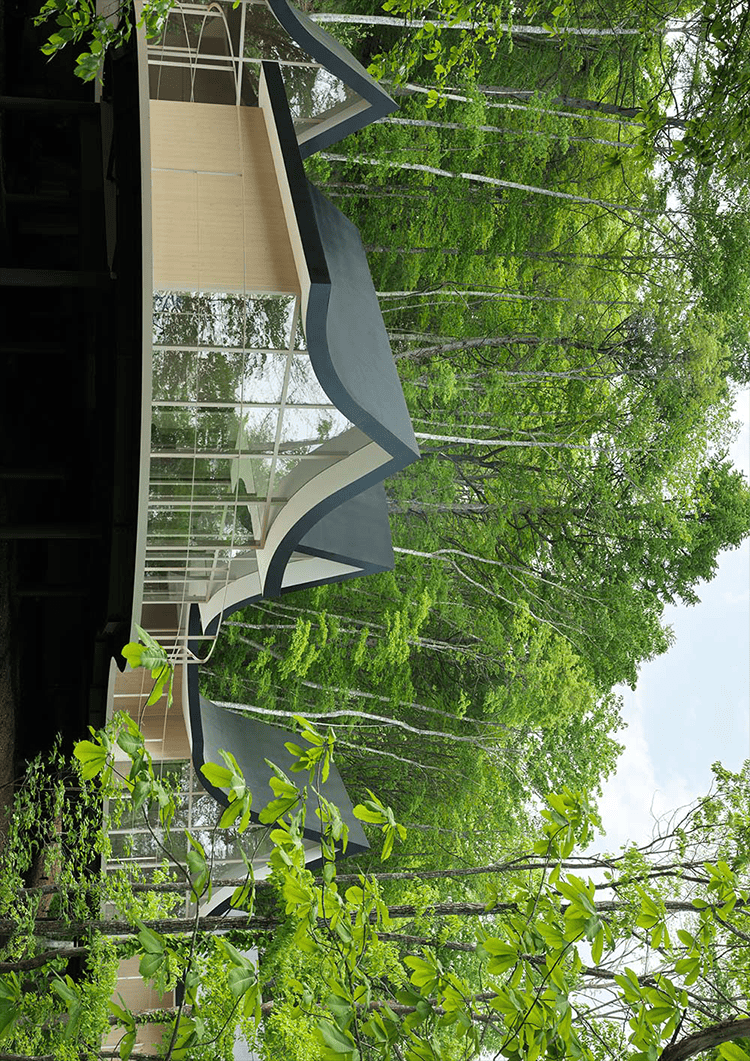 Minotti|HandinHandHouse:几何聚落与自然共舞-4