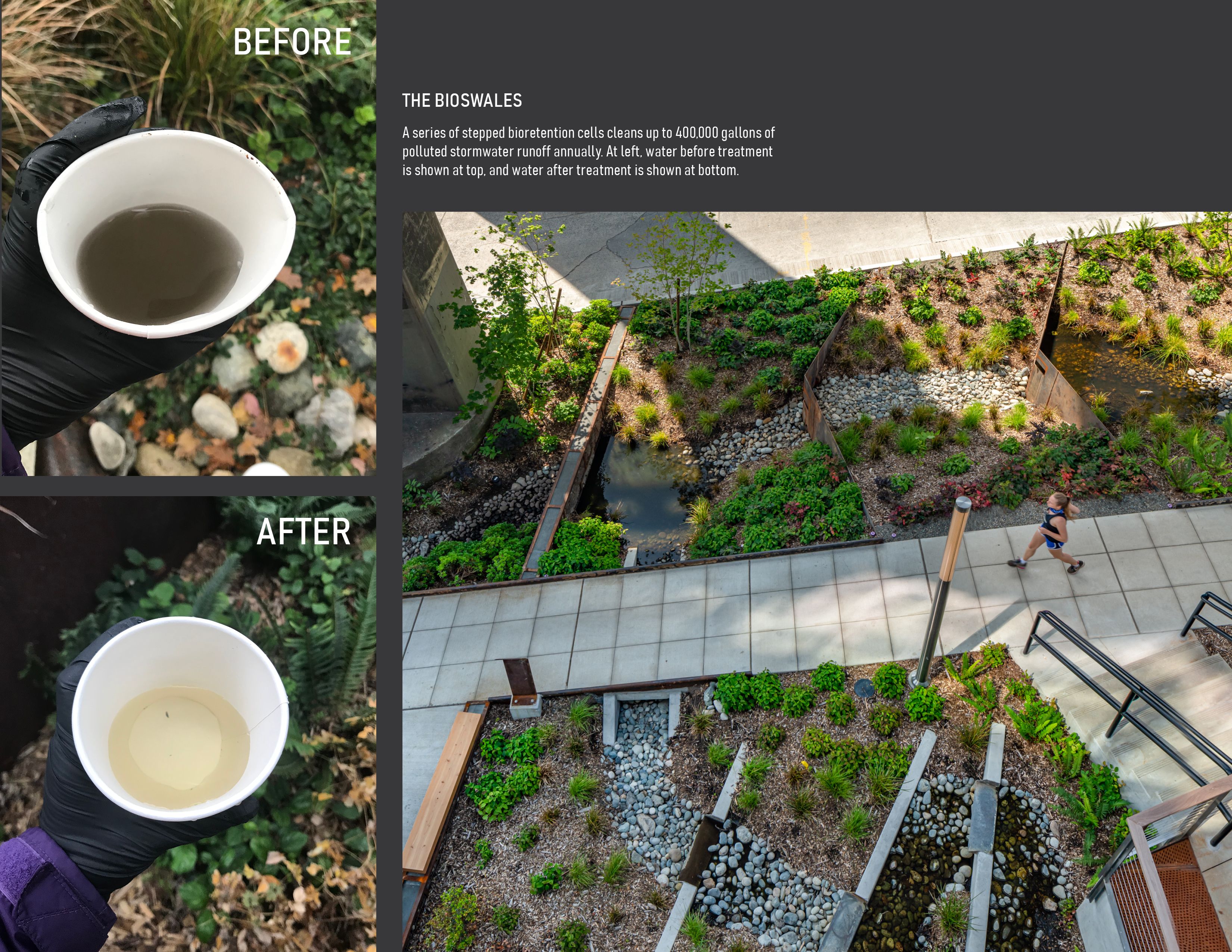 Watershed · 环保先锋的商业办公室设计丨美国西雅图丨Weber Thompson-16