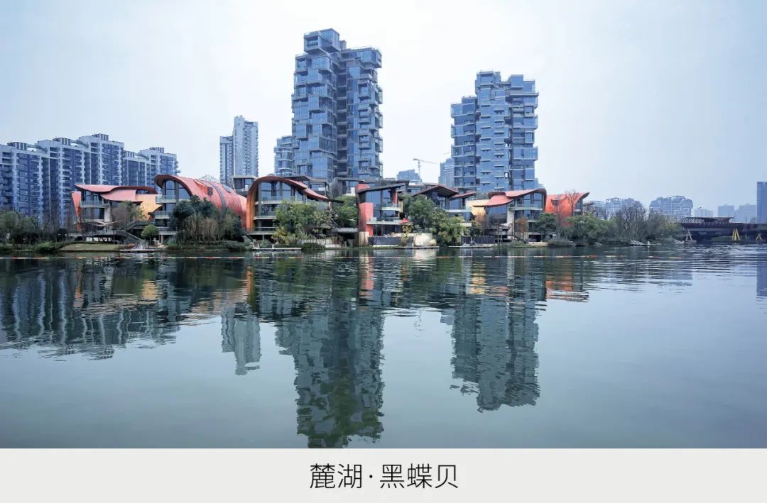 麓湖 B2 黑鉐样板岛丨中国成都丨乐道景观-11