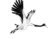 【新中式 瓯越韵】一个关于高级黑的水墨之居-122