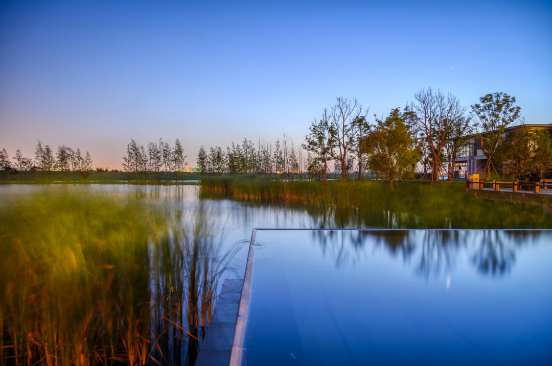苏州鲁能泰山九号-67