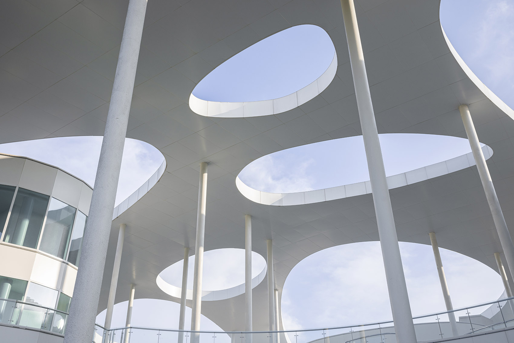 日照茶叶科创示范园丨中国日照丨孔祥伟工作室-49