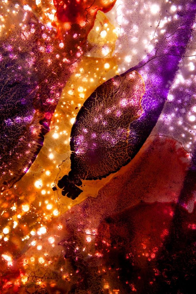 光影宇宙,捕捉社会政治阴暗面的艺术之作-25