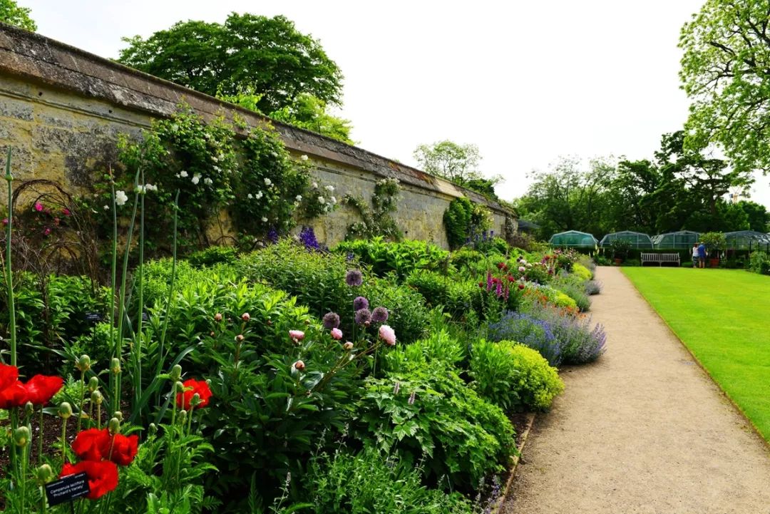 花境植物配置的艺术 | 四季美景尽收眼底-13
