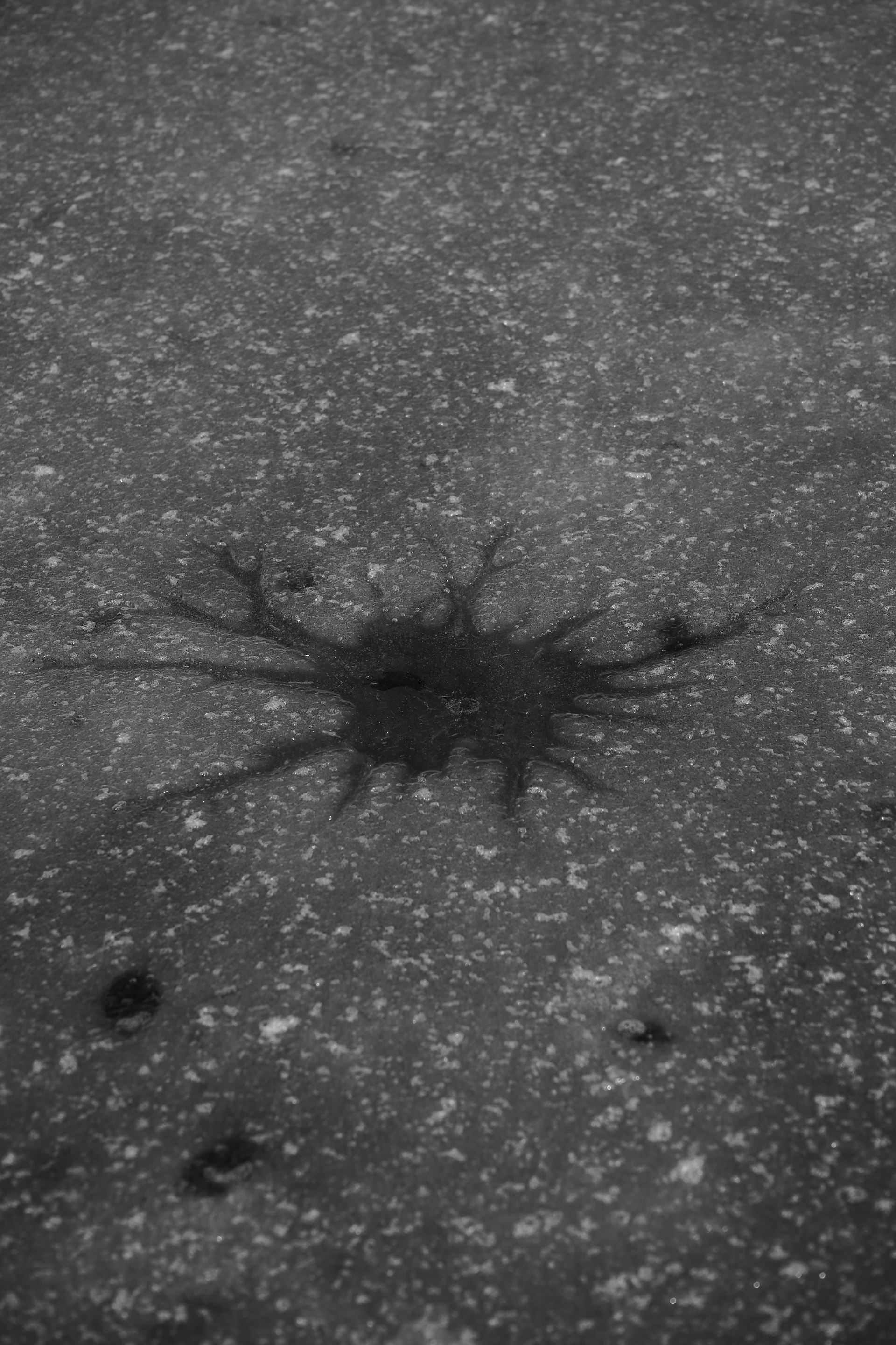 A Winter's Day（冬日）-3