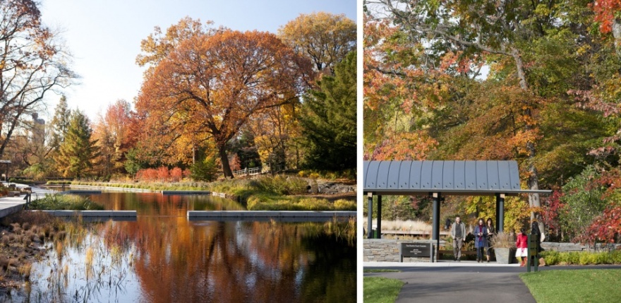 纽约植物园本土植物园丨美国纽约丨OvS-35