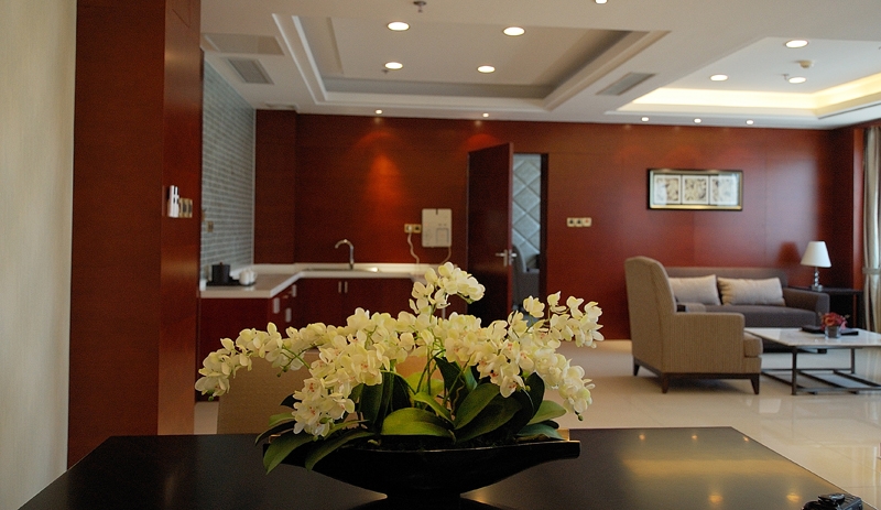 沙家浜天堂卡通假日休闲酒店-11