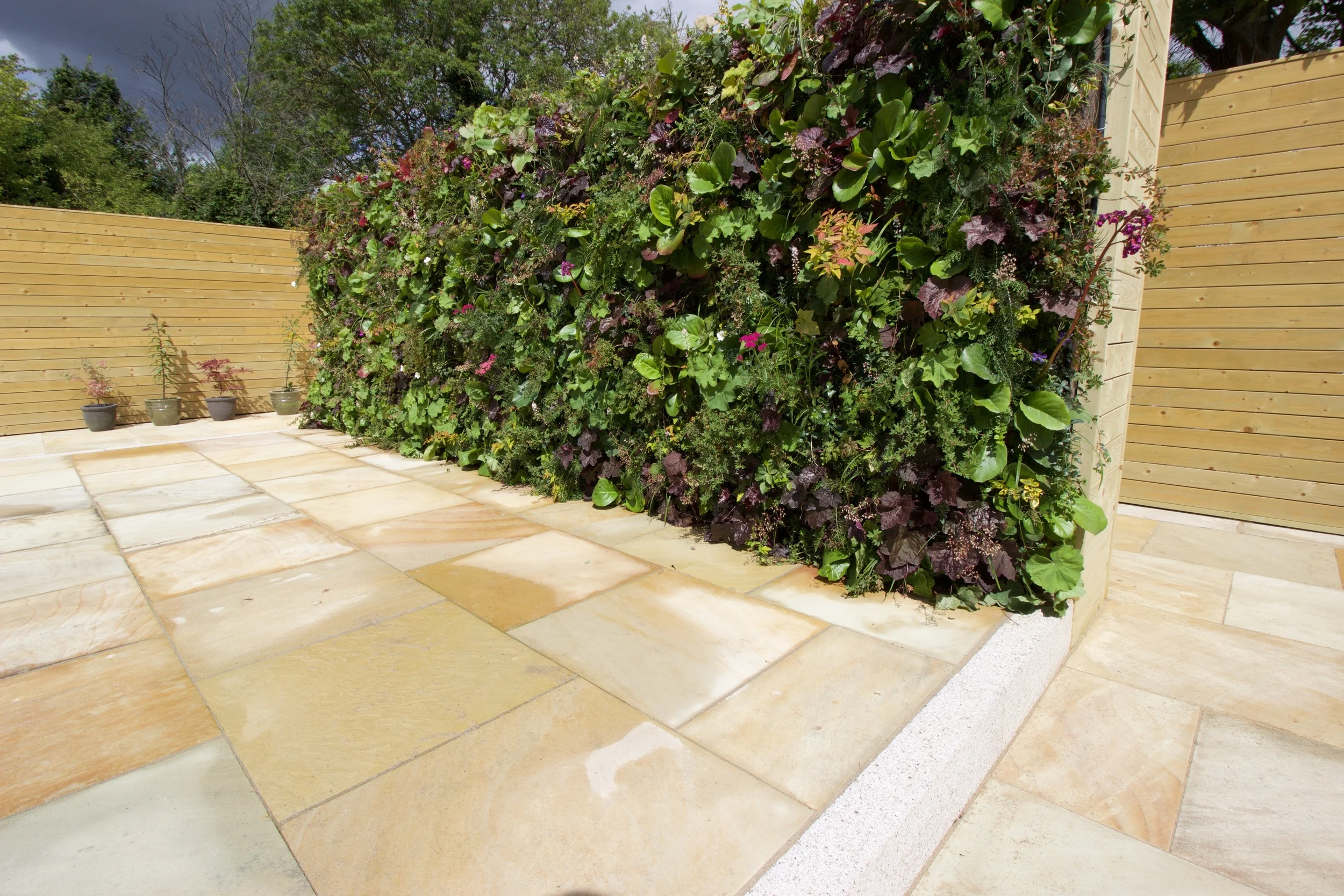 垂直绿墙花园丨爱尔兰都柏林-42