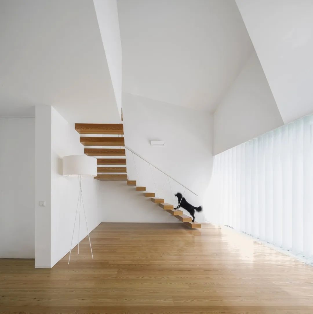 埃斯托里尔别墅丨葡萄牙丨Rui Vieira Oliveira architect-32