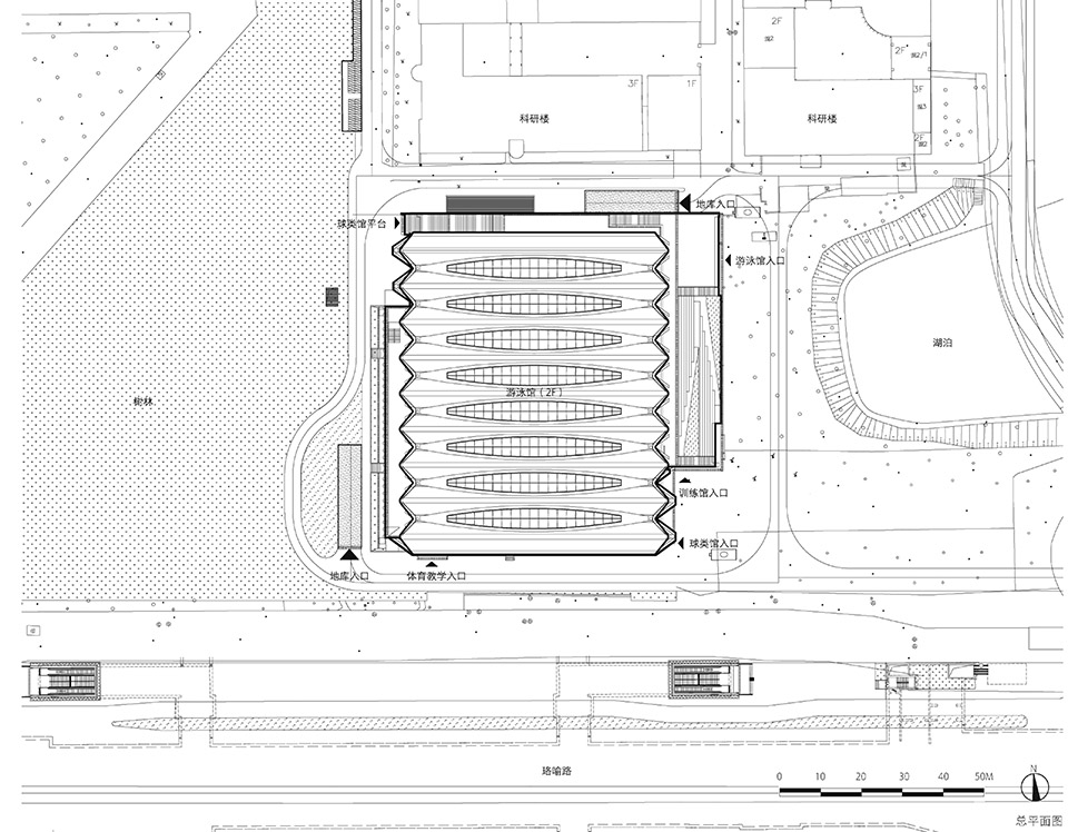 华中科技大学游泳馆丨中国武汉丨华南理工大学建筑设计研究院有限公司孙一民工作室-99