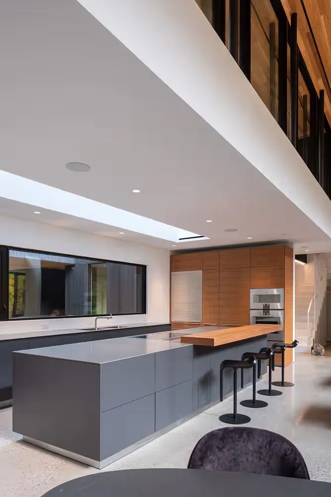 两个掩映在自然中的现代别墅-10