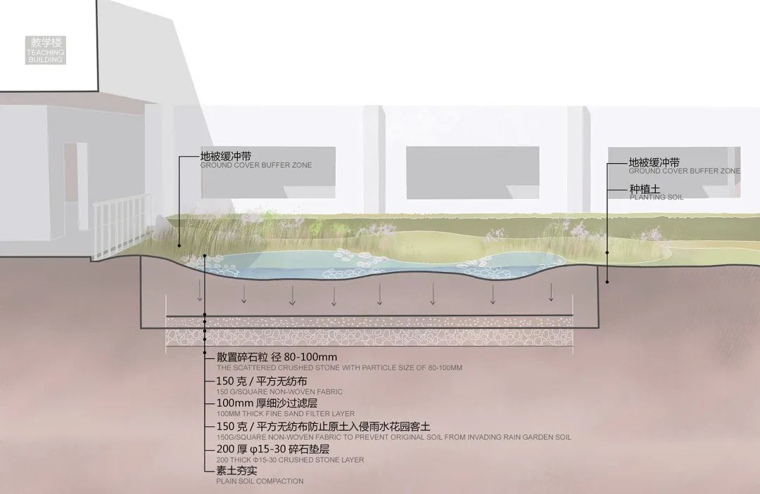 共建花园,探索自然之美丨中国深圳丨GND杰地景观-137