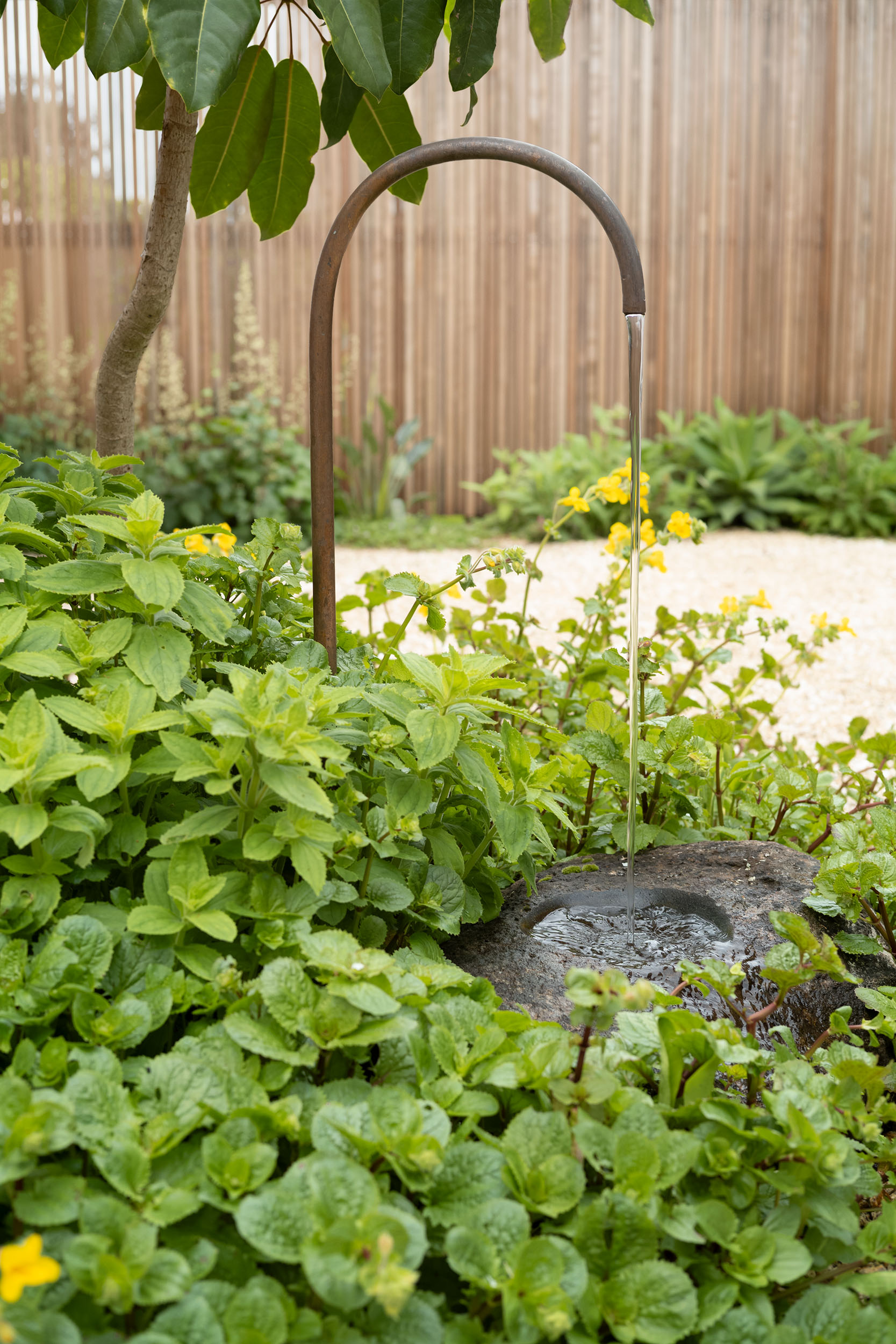 身边风景 | Soft Studio-21