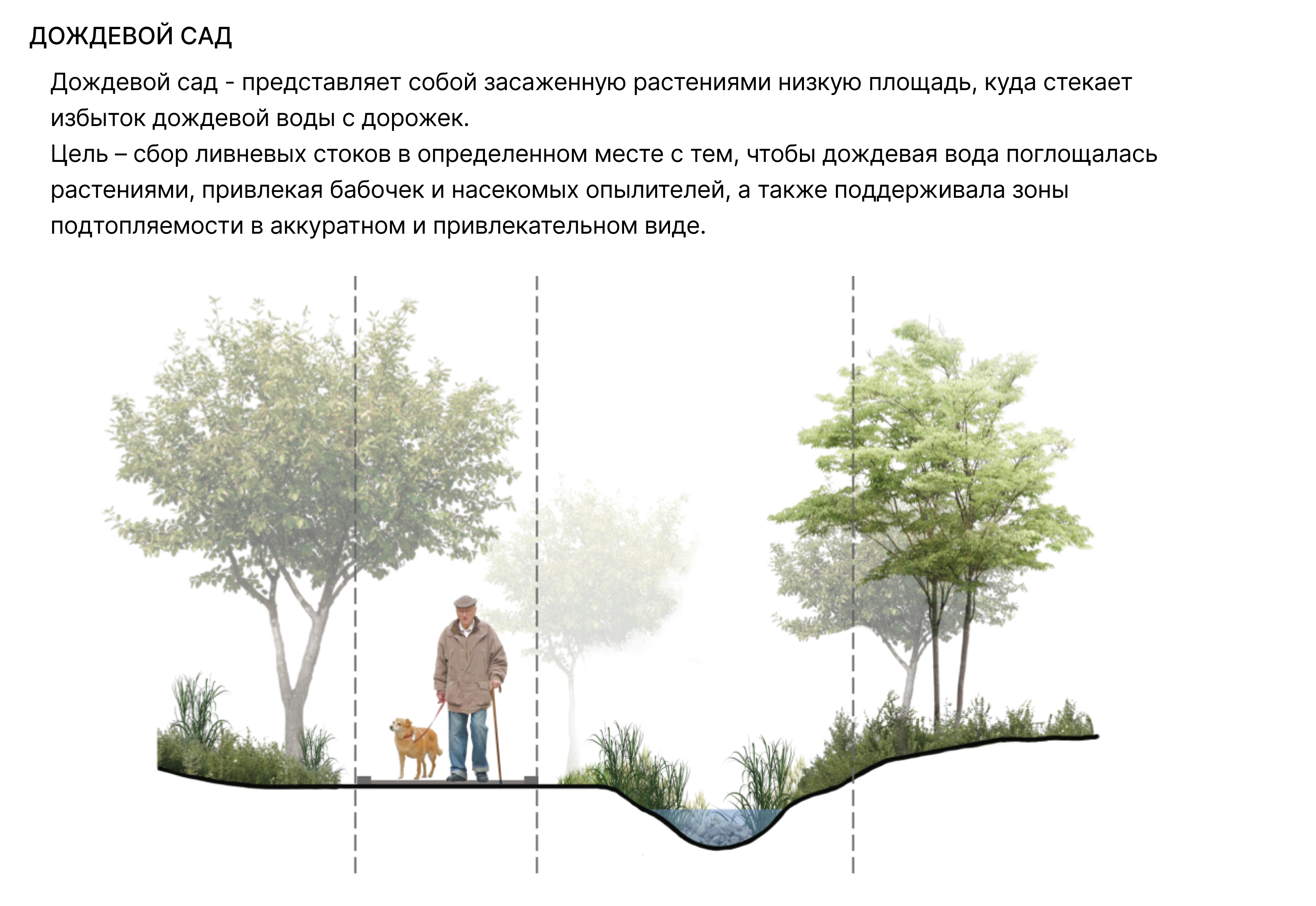 Исследование Линейного парка на ВО-28