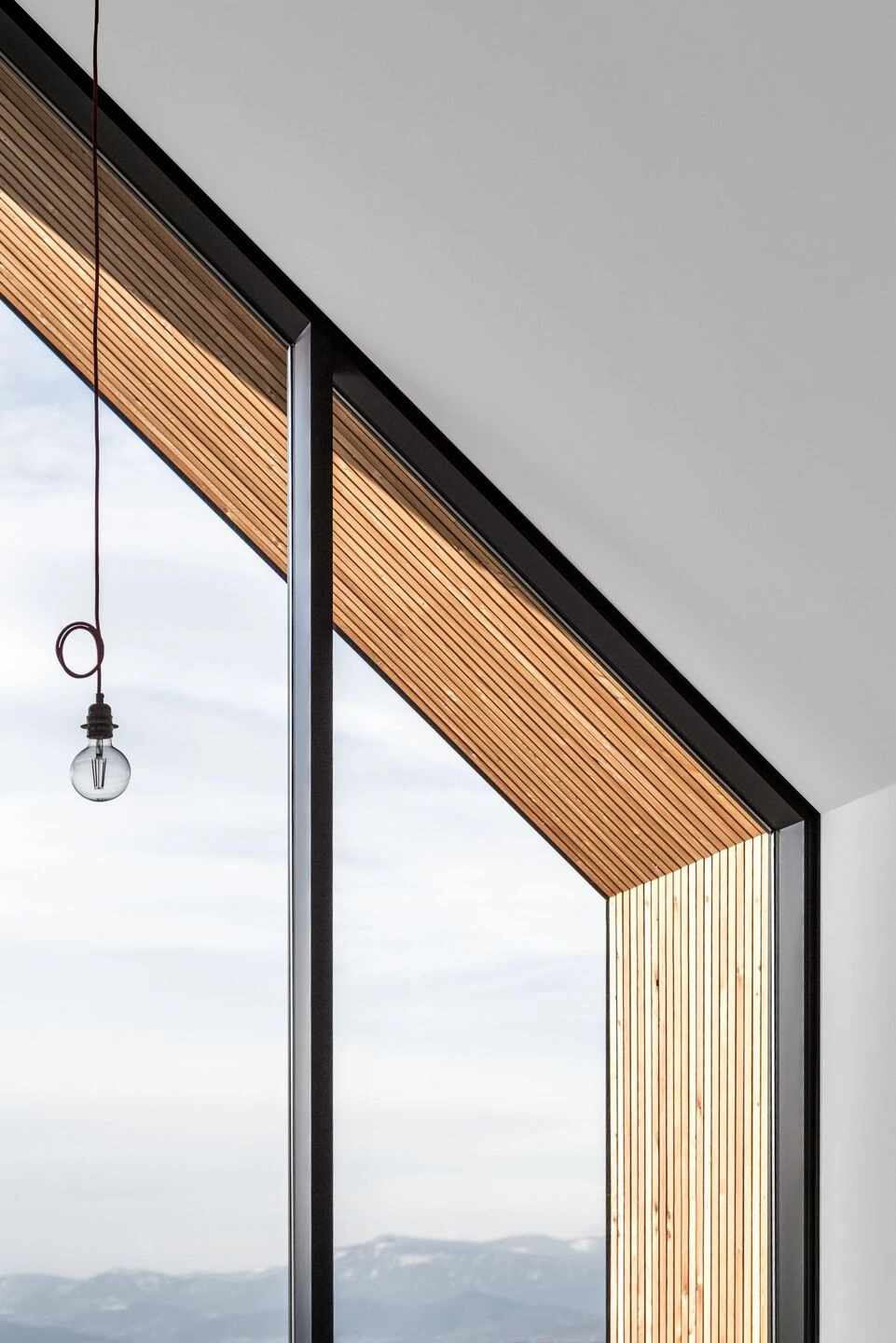 LIA – 在黑色墙壁后面丨Austria丨STEINBAUER architektur+design-23