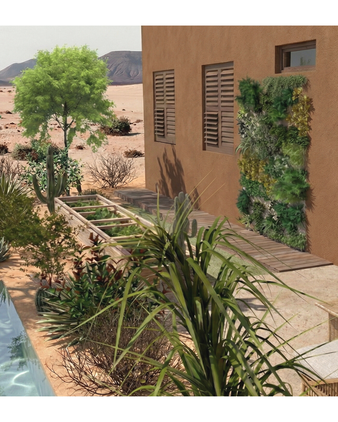 Vivienda Arboris-20