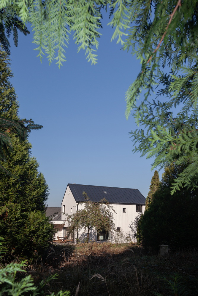 布拉格城市绿洲 · 家庭住宅与后院书房的共生设计-47