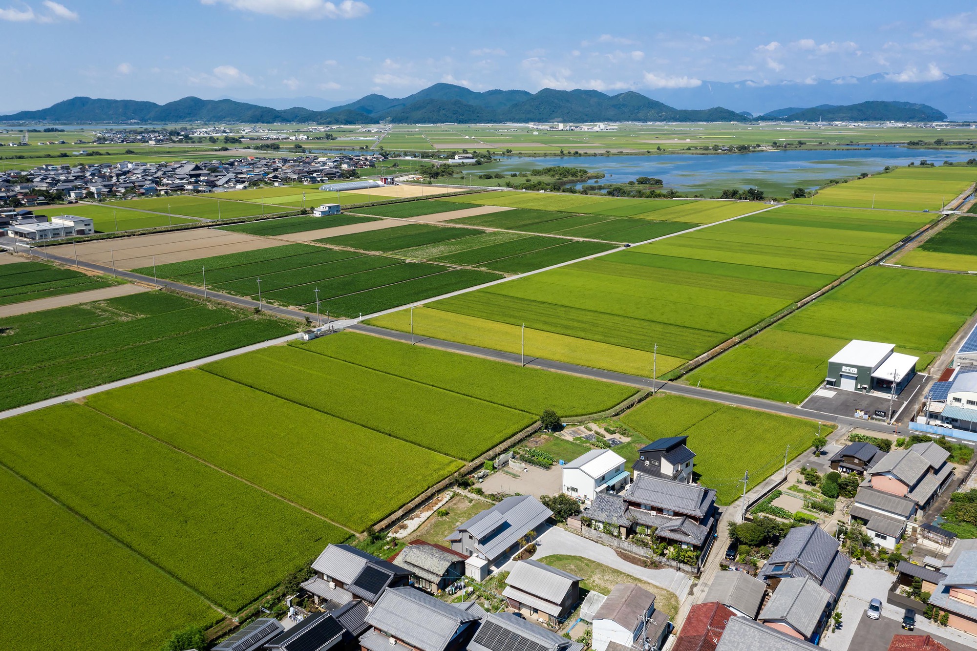 江东的房子丨日本滋贺丨Uno Architects-26