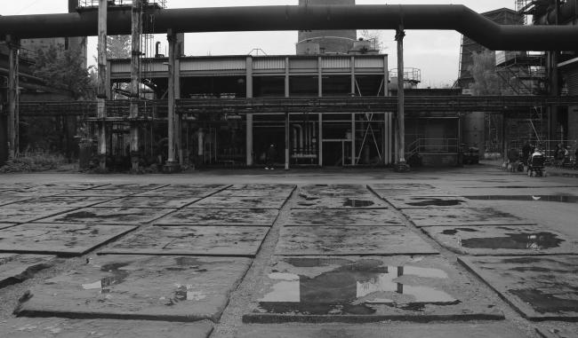 “老虎与乌龟”丨德国丨德国艺术家乌尔里希·根茨和海克·穆特-90