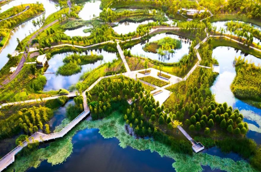 上海碧云绿地丨中国上海丨AECOM-19