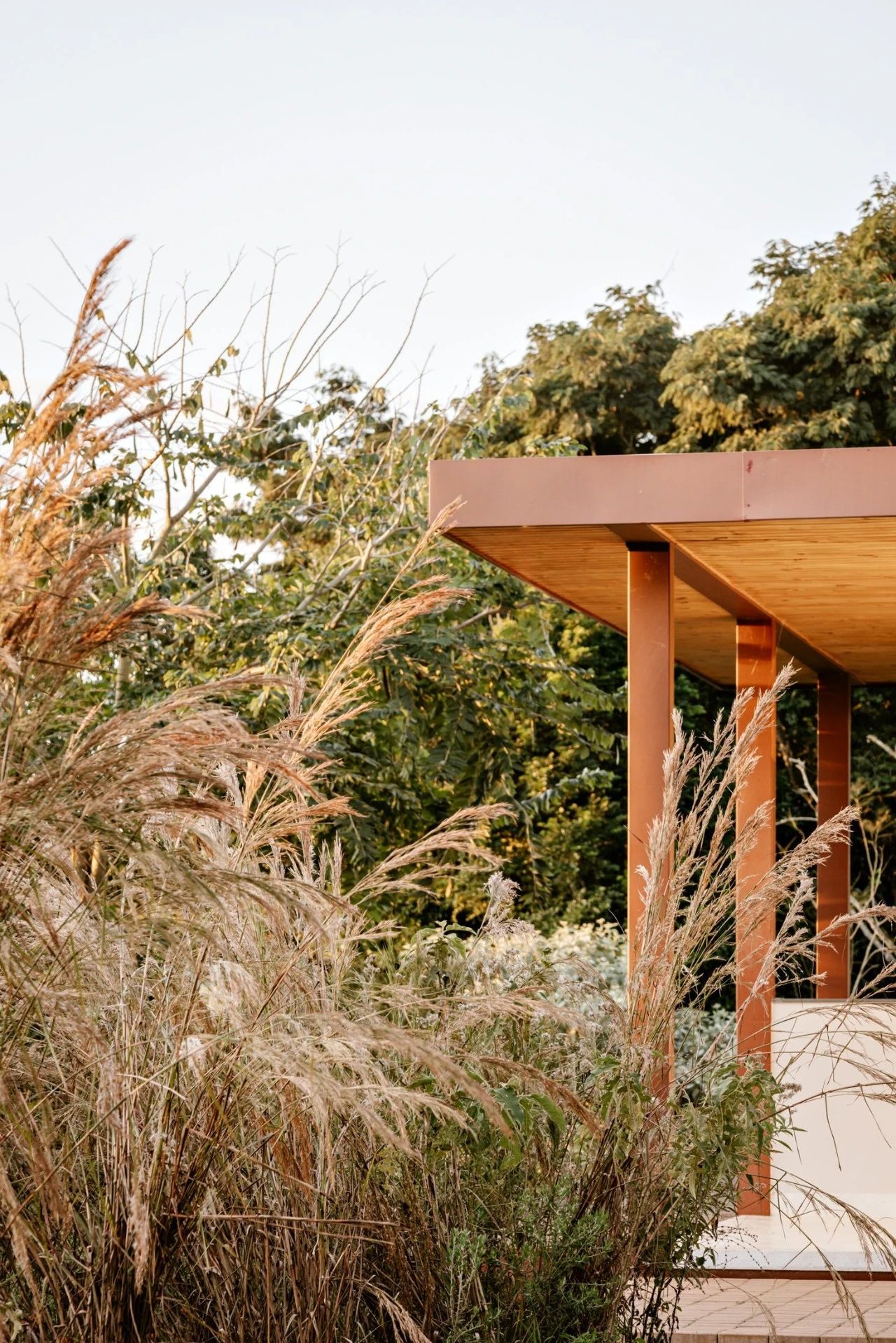 深林之家丨巴西圣保罗丨F.studio-55