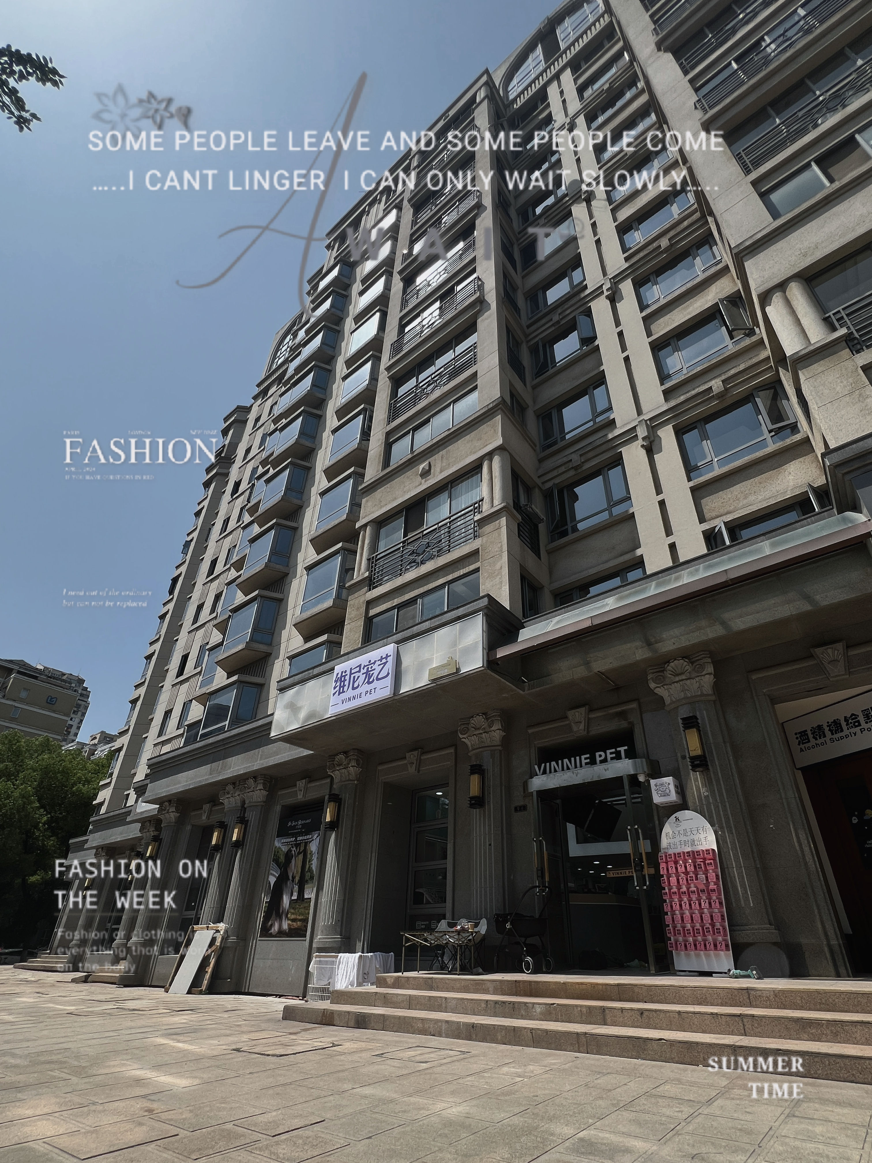 新案原创 维尼宠艺-1