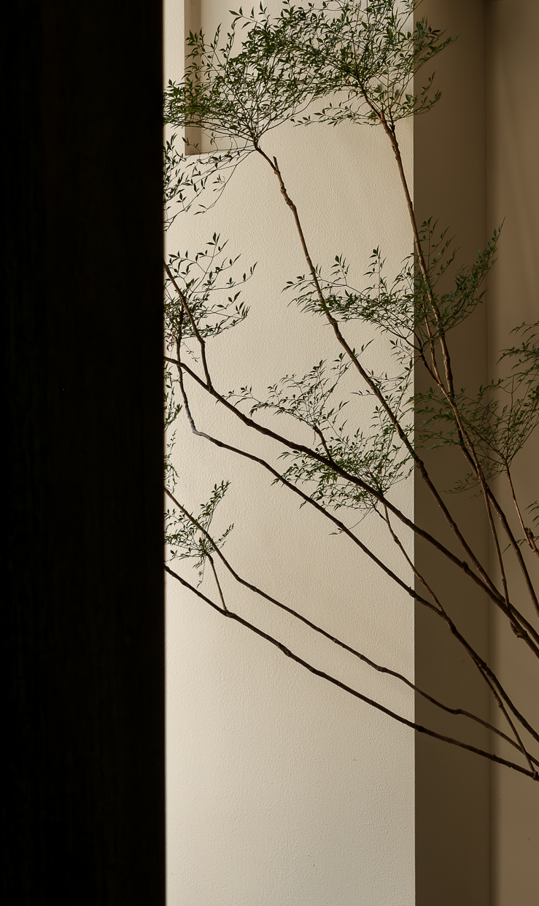 众冉建筑设计事务所丨中国宁波-12