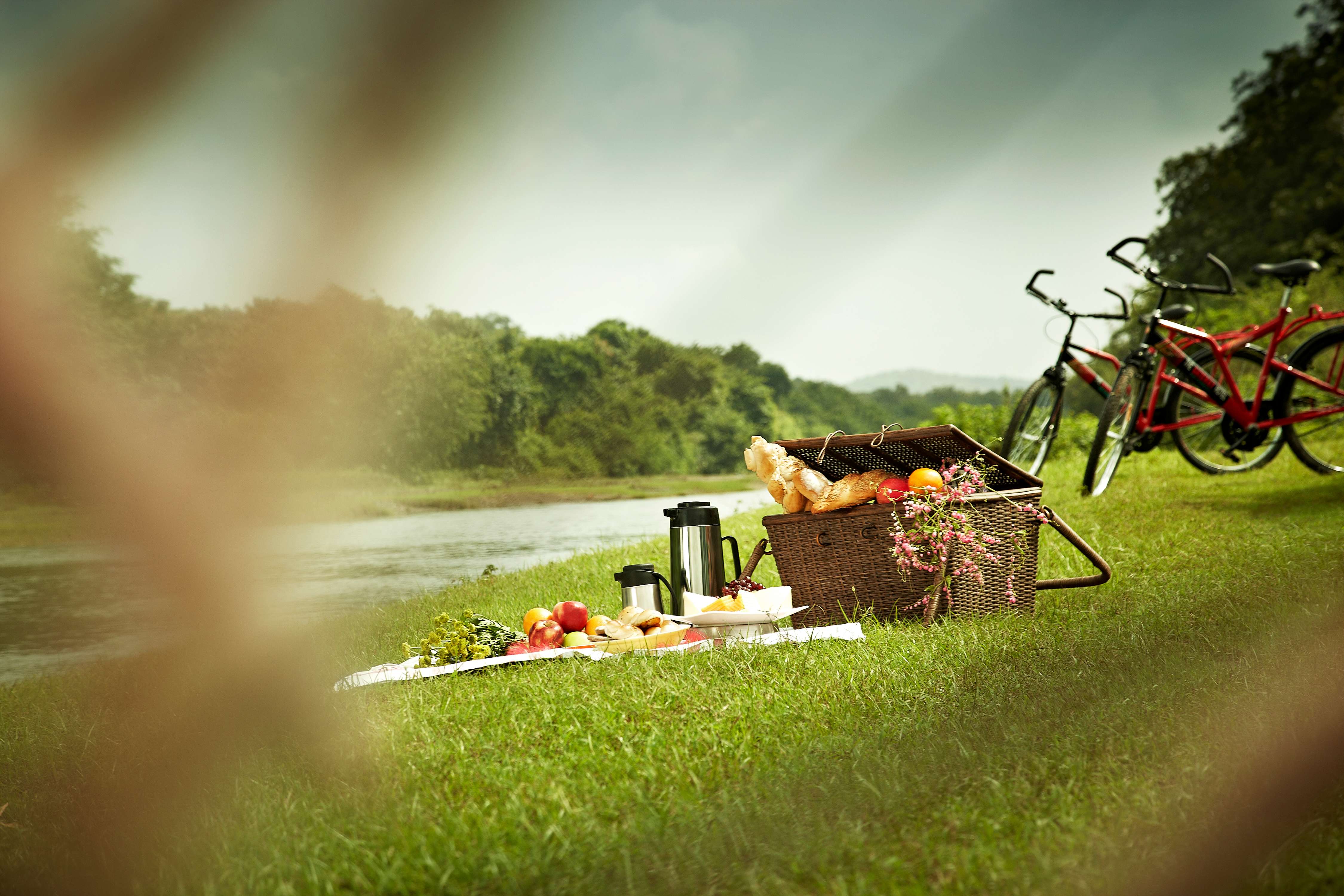 The Gateway Hotel Gir Forest-4