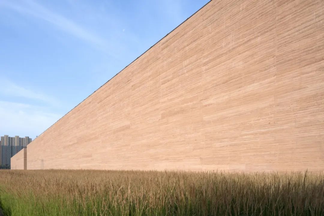 新物种的诞生：只有河南·戏剧幻城-135