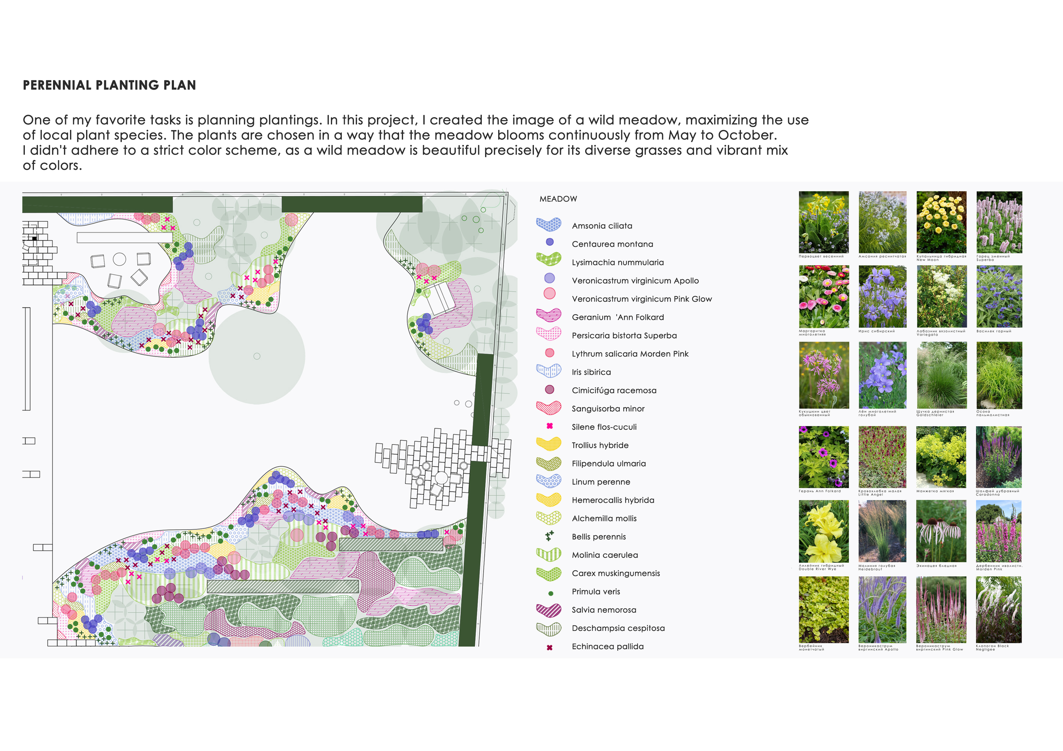 Private garden, 2023-7