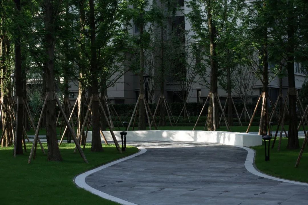 万科 17 英里 | 星空下的乐园生活-95