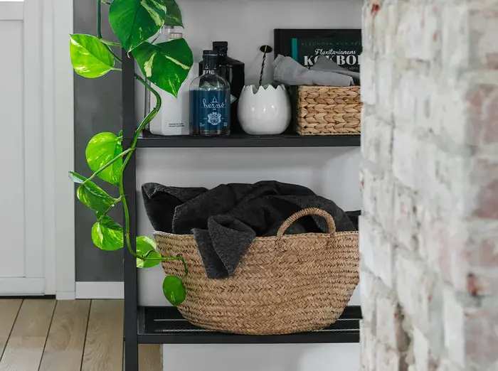 绿意盎然 · 北欧风家居的植物魔法-6