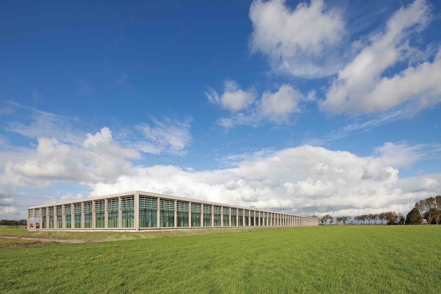 荷兰 Beemster Polder 康诺奶酪制造商可持续乳制品厂-45