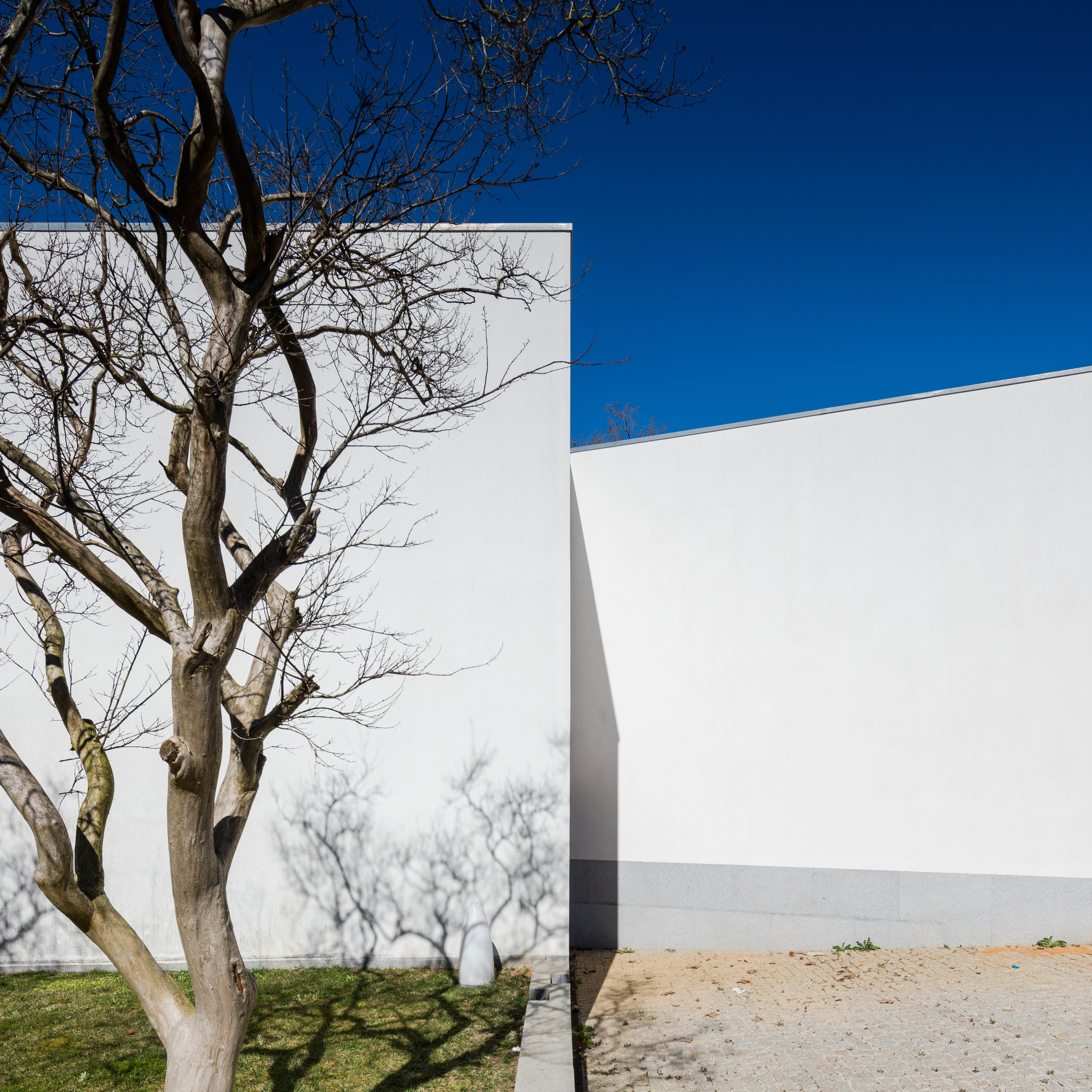 Manuel Cargaleiro 艺术办公室-32