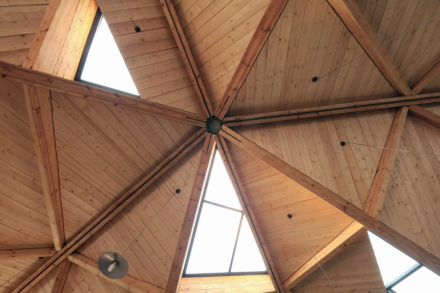 林建筑－与自然树木的共舞 / 迹·建筑事务所（华黎）-209