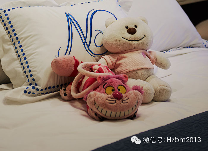 杭州远洋公馆项目  鸟语花香-17