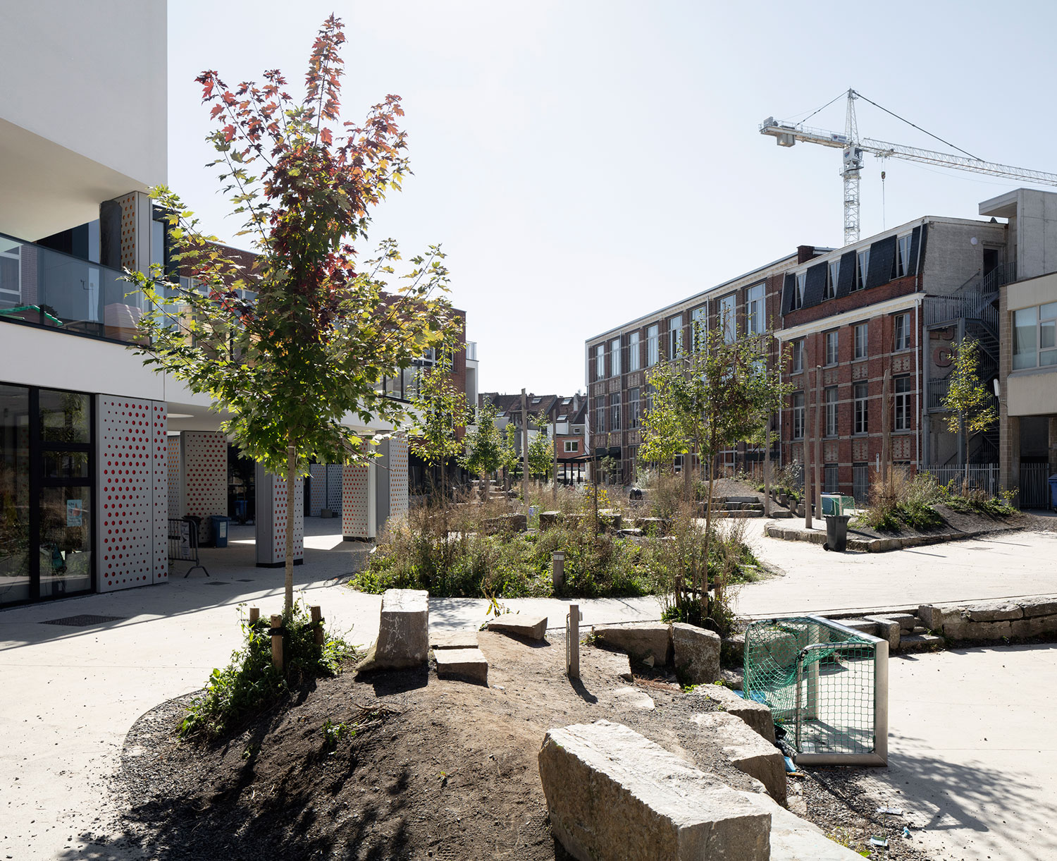 比利时校园灰色操场变身绿色冒险乐园-19